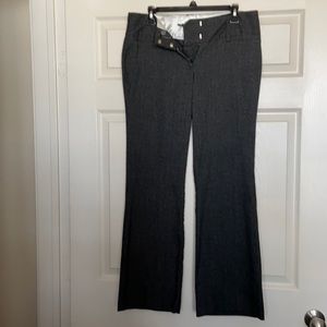 Maurices Women I Am Smart Dress Pants 